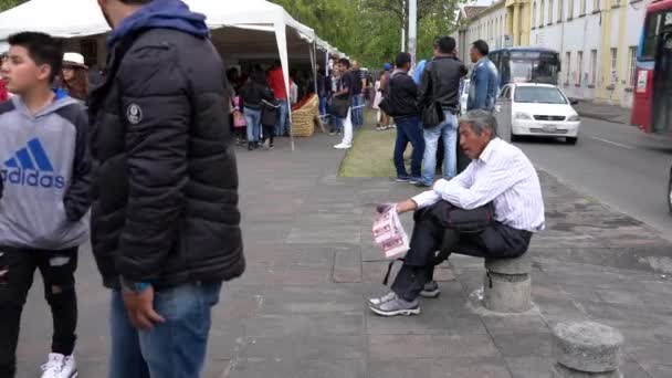 Cuenca, Ecuador - 20181003 - Festa dell'indipendenza Cuenca - Ampio colpo di venditore di biglietti della lotteria urlando le sue merci e poi facendo vendita . — Video Stock