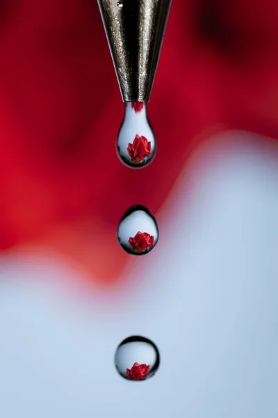 Una Rosa Rossa Rifrangeva Attraverso Gocce Acqua Provenienti Rubinetto — Foto Stock