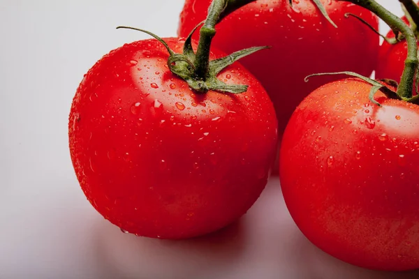 Tomates Suculentos Molhados Videira — Fotografia de Stock