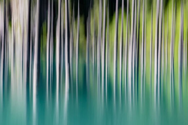 Abstract Achtergrond Van Lege Bomen Verticaal Wazig — Stockfoto