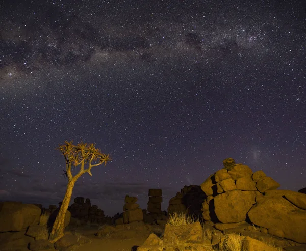 Samanyolu Namibya Daki Titrek Ağaçların Üzerinde Parlıyor — Stok fotoğraf
