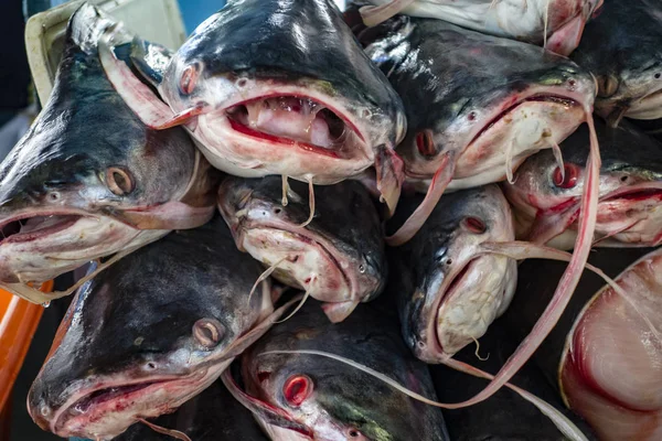 Pila de pescado en venta en el mercado local — Foto de Stock