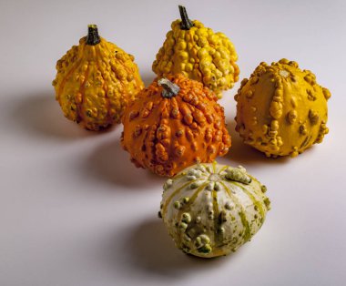 Beyaz üzerine dekoratif kabak