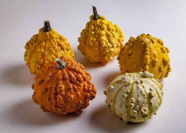 Beyaz üzerine dekoratif kabak