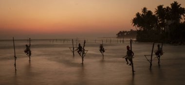 Sri Lanka'da Stilt Balıkçılar Gün Batımında Gıda Için Çalışıyor
