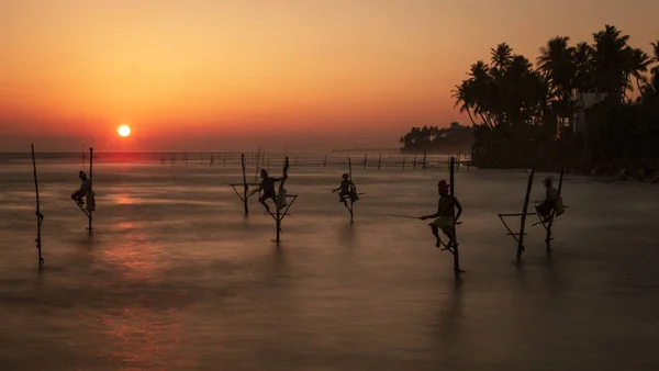 Pescadores de zancos en Sri Lanka trabajando para comer al atardecer —  Fotos de Stock