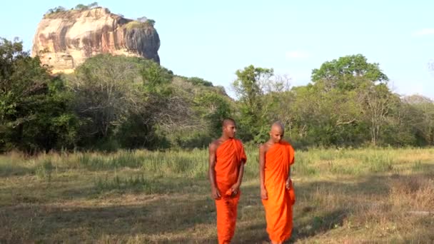 Haberna, Srí Lanka-2019-03-22-dva mladí mniši chůze k fotoaparátu před skálou Sigiriya — Stock video