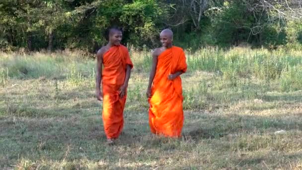 Haberna, Sri Lanka 2019-03-22 - Dos jóvenes monjes caminan hacia la cámara en campo abierto para cerrar — Vídeo de stock