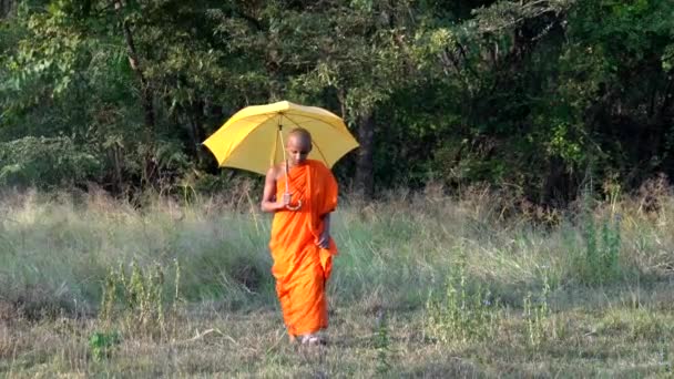 Haberna, Srí Lanka-2019-03-22-mladý mnich kráčí k fotoaparátu s deštníkem v poli — Stock video
