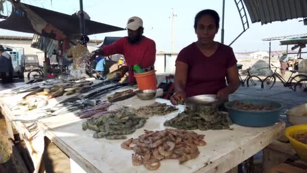 Nogombo, Sri Lanka 2019-03-22 - Fish Vendor organiza montones de camarones — Vídeo de stock
