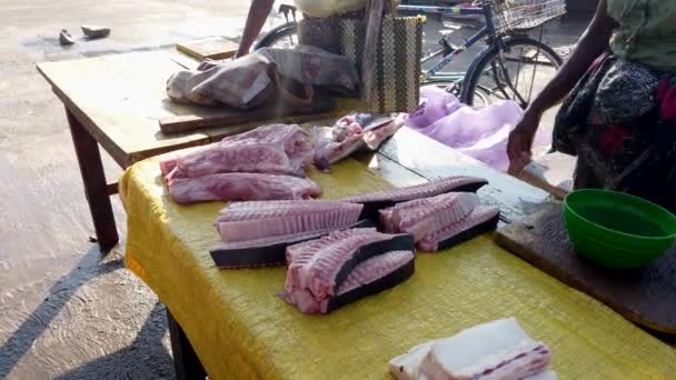 Ногомбо, Шри-Ланка - 2019-03-22 - Рыботорговец организует сваи рыбных хребтов — стоковое видео