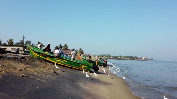 Nogombo, Sri Lanka-2019-03-22-zilverreigers Prowl het zand op zoek naar castoffs van vissers — Stockvideo