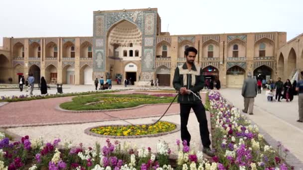 Kerman, Iran-2019-04-06-Gardner Waters kwiaty w: Ganjali Mosque — Wideo stockowe