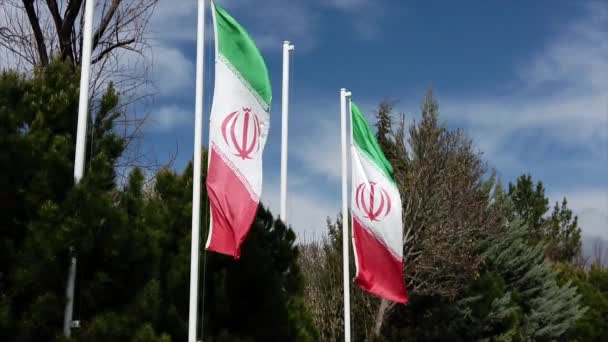 Iranian Flags Fly in Breeze - Vertical Flags in Slow Motion — Stok Video