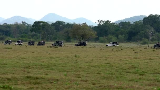 Minneriya Ulusal Parkı, Sri Lanka - 2019-03-23 - Safari İnsanlar 6 - Jeeps Hattı Gün Batımında Eve Heads — Stok video