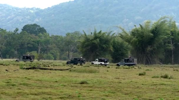 Minneriya National Park, Sri Lanka - 2019-03-23 - Safari People 7 - Linea di jeep in partenza alla fine della giornata — Video Stock