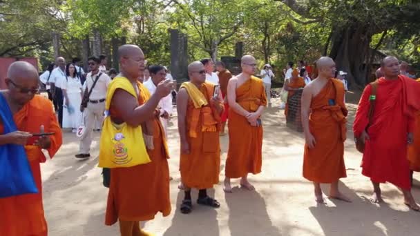 Polonnaruwa, Sri Lanka-2019-03-23-mnisi na Tour 3-w kółko wokół wykładowca — Wideo stockowe