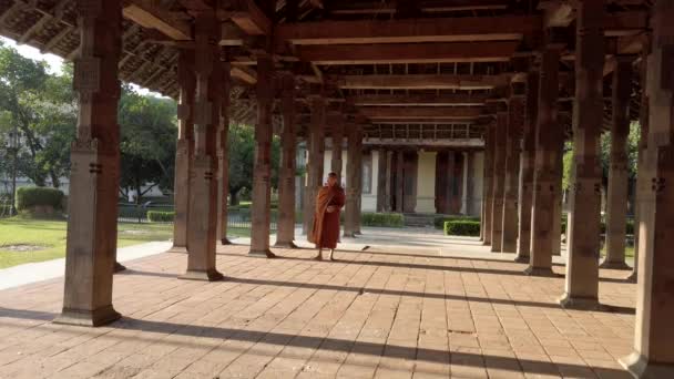 Kandy, Sri Lanka - 09-03-24 - Monk Walks Through Temple Columns Dappled in Sun — Stock Video