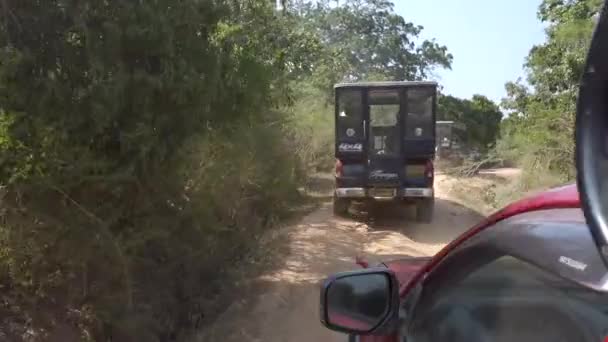 Safari-Jeeps fahren auf holpriger Schotterpiste — Stockvideo