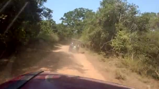 Джипы Safari едут по грубой грязной дороге 3 — стоковое видео