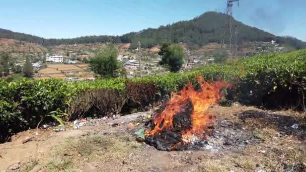 Les ordures brûlent au bord de la route — Video