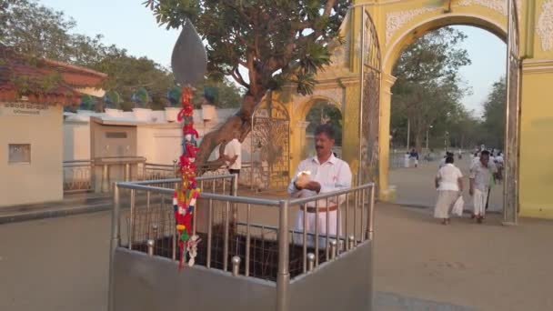 Kataragama, Sri Lanka - 2019-03-29 - El hombre reza sobre la vasija de fuego de arcilla y luego la rompe para enviar oraciones a Dios — Vídeos de Stock