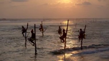 Galle, Sri Lanka-2019-04-01-stilt balıkçılar-altı Sundown 'da