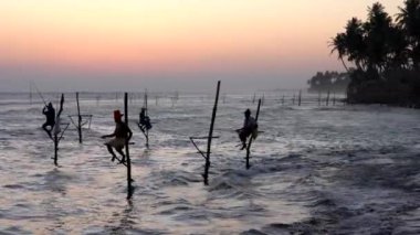 Galle, Sri Lanka-2019-04-01-stilt balıkçılar-dört yakın Shore at Sundown
