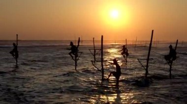 Galle, Sri Lanka-2019-04-01-stilt balıkçılar-adam stilt üzerinde tırmanıyor