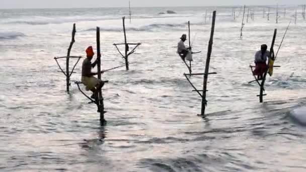 Galle, Sri Lanka - 2019-04-01 - Stilt Fishermen - Man Climbs Off Stand — Stock Video