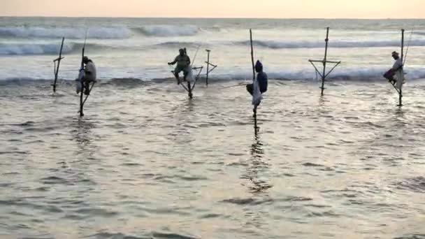 Galle, Sri Lanka-2019-04-01-Stilt halászok-négy izomrángás a lengyelek — Stock videók