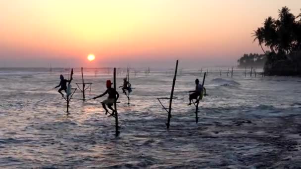 Galle, Sri Lanka-2019-04-01-Stilt rybacy-Four Near Shore — Wideo stockowe