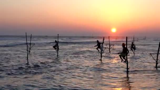 Galle, Sri Lanka-2019-04-01-palen vissers-vier mannen op palen — Stockvideo