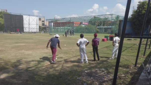 Galle, Sri Lanka - 2019-04-01 - Práctica de cricket adolescente - Entrenador golpea para la práctica de captura — Vídeos de Stock