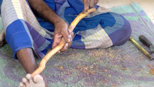 Galle, Sri Lanka - 2019-04-01 - Canela - Man Peels Cinnamon Branch Closeup — Vídeo de Stock