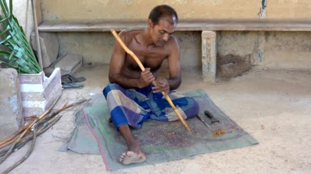 Galle, Sri Lanka-2019-04-01-Cinnamon-Man meraklıları ve sonra Cuts tarçın şube — Stok video