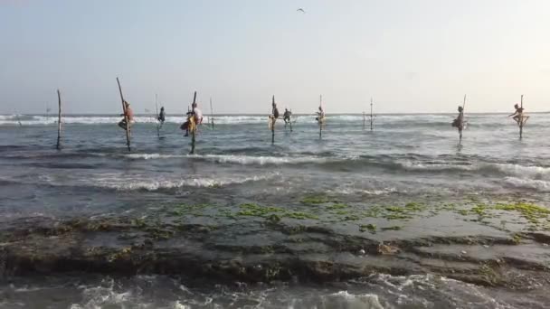ゴール, スリランカ - 2019-04-01 - スティルト漁師 - 海岸に近い7人の男性 — ストック動画