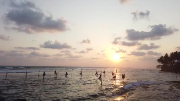 Galle, Sri Lanka - 2019-04-01 - Stilt Fishermen - Ten Men at Sunset — Stock Video