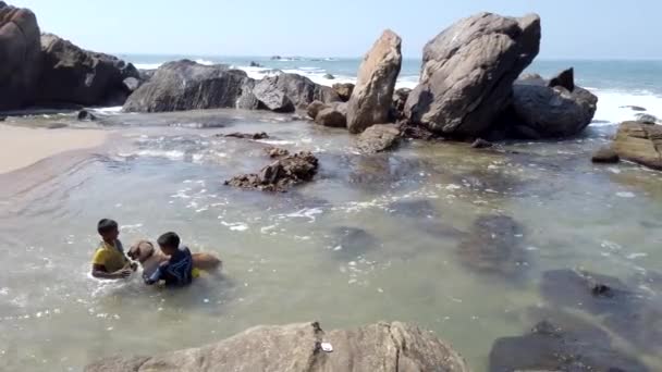 Galle, Srí Lanka-2019-04-01-dva chlapci a psí hra v tidepool — Stock video