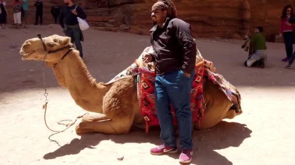 Petra, Jordanien-2019-04-23-man står förutom sin knäböj kamel — Stockvideo