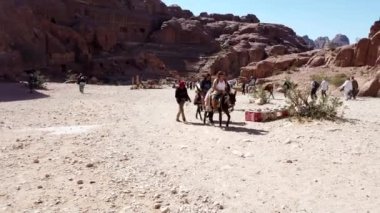 Petra, Ürdün - 2019-04-23 - Turistler Petra'dan Eşeklere Biniyor