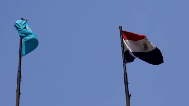 エジプトの旗は、ポールの上にそよ風で飛ぶ — ストック動画