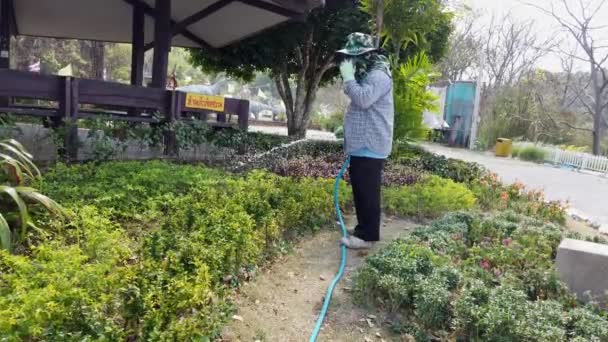 Phayao, Tailandia - 2019-03-08 - El jardinero riega las plantas mientras habla por teléfono — Vídeos de Stock