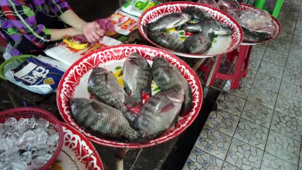 Mackerel Berbaring di Lempeng Masih Hidup Menunggu Dijual Untuk Makan Malam — Stok Video