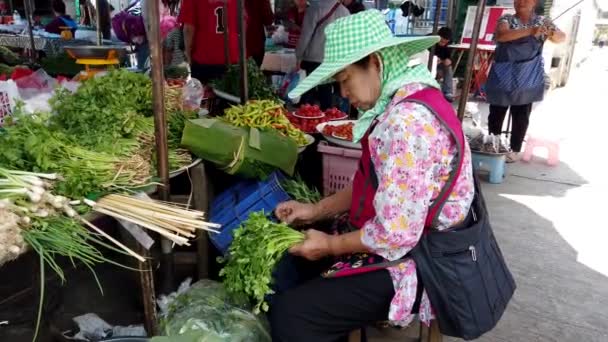 Chiang Saen, Tailandia - 2019-03-10 - La mujer recorta perejil en el mercado — Vídeos de Stock
