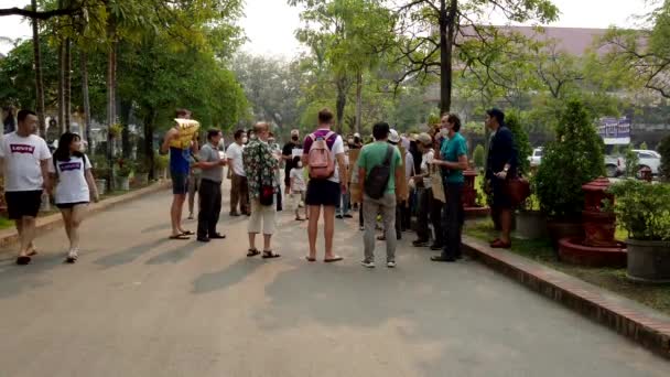 Chiang Mai, Thailand-2019-03-15-små Cimate aktivist protest former — Stockvideo