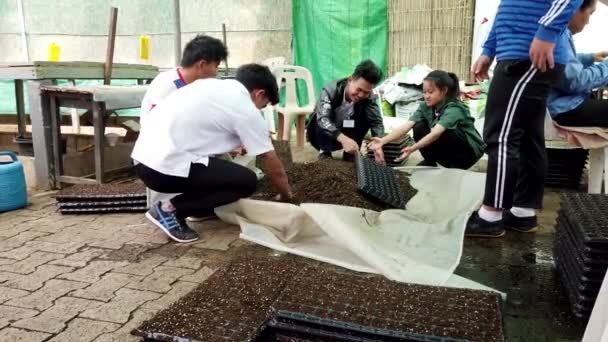 Mae Saiong. Tailândia - 2019-03-11 - Voluntários enchem camas de flores de estufa com turfa - Baixo — Vídeo de Stock