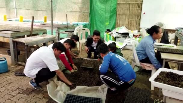매사옹. 태국 - 2019-03-11 - 자원 봉사자가 토탄으로 온실 화단을 채웁니다. — 비디오
