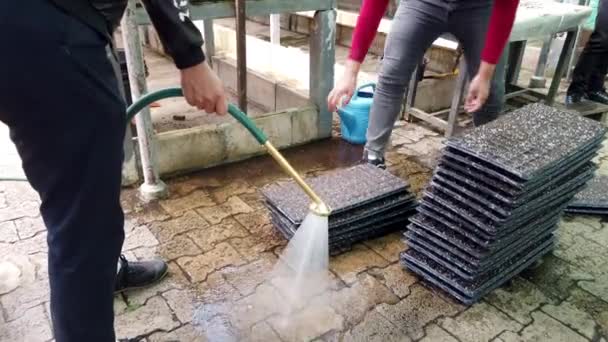 Solymos Tamás Thailand-2019-03-11-önkéntesek drench üvegházhatású virág ágyak vízzel — Stock videók