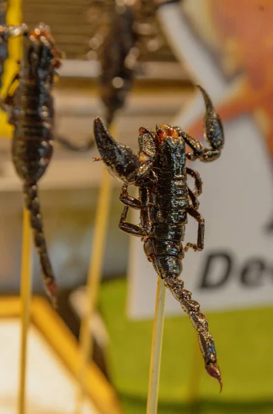 Smažený Scorpians na tyčce, který se prodává jako exotický bufet — Stock fotografie